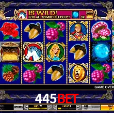 445Bet Rio de Janeiro - Bonus Terms